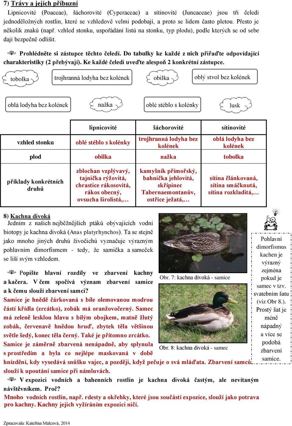 Do tabulky ke každé z nich přiřaďte odpovídající charakteristiky (2 přebývají). Ke každé čeledi uveďte alespoň 2 konkrétní zástupce.