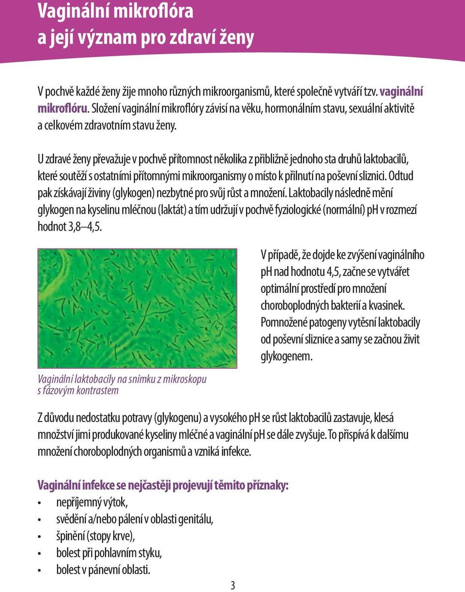 U zdravé ženy převažuje v pochvě přítomnost několika z přibližně jednoho sta druhů laktobacilů, které soutěží s ostatními přítomnými mikroorganismy o místo k přilnutí na poševní sliznici.