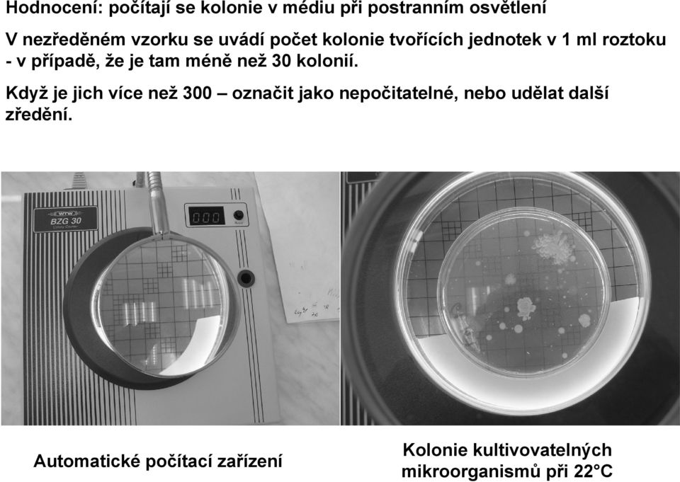 než 30 kolonií.