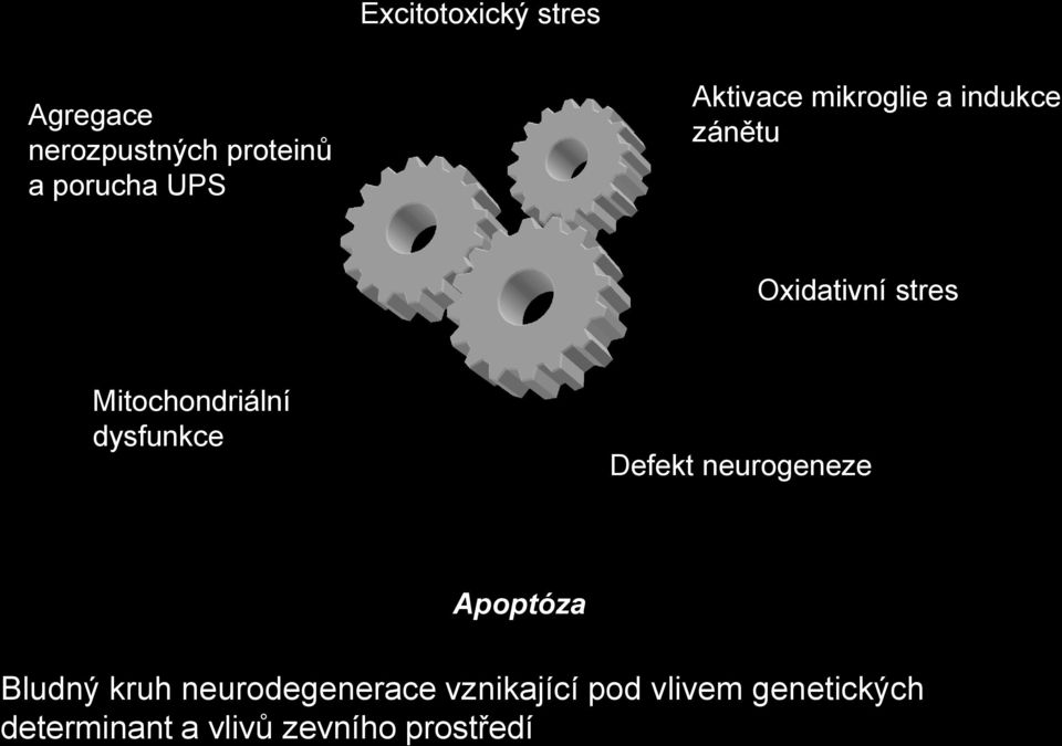 Mitochondriální dysfunkce Defekt neurogeneze Apoptóza Bludný kruh