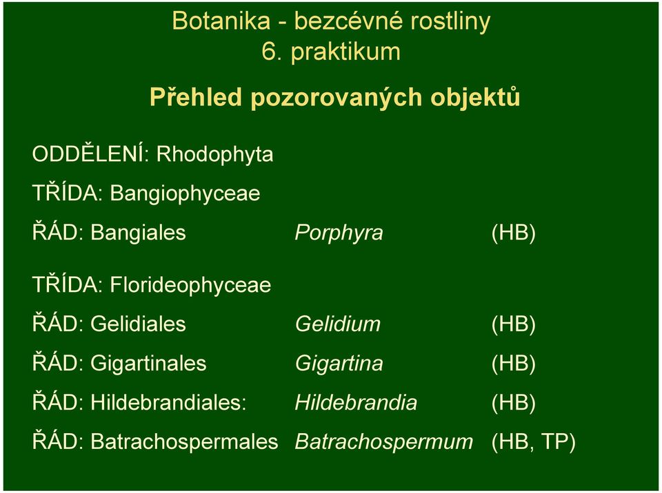 Bangiophyceae ŘÁD: Bangiales Porphyra (HB) TŘÍDA: Florideophyceae ŘÁD: