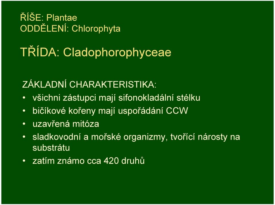 stélku bičíkové kořeny mají uspořádání CCW uzavřená mitóza