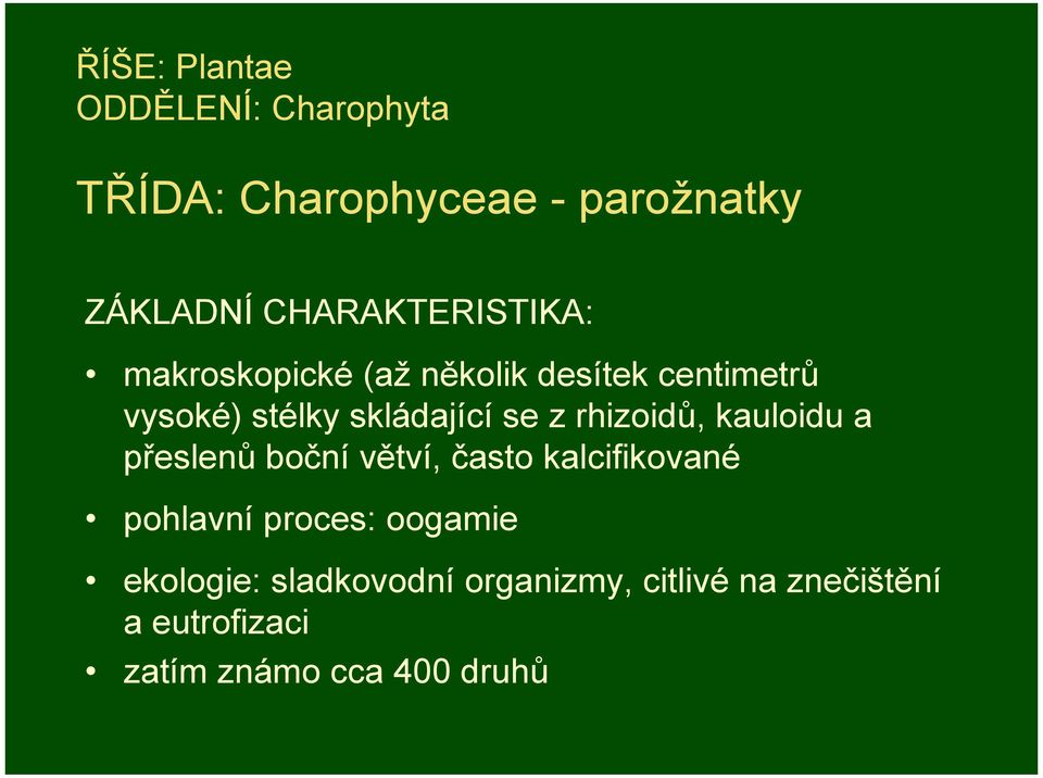 se z rhizoidů, kauloidu a přeslenů boční větví, často kalcifikované pohlavní proces: