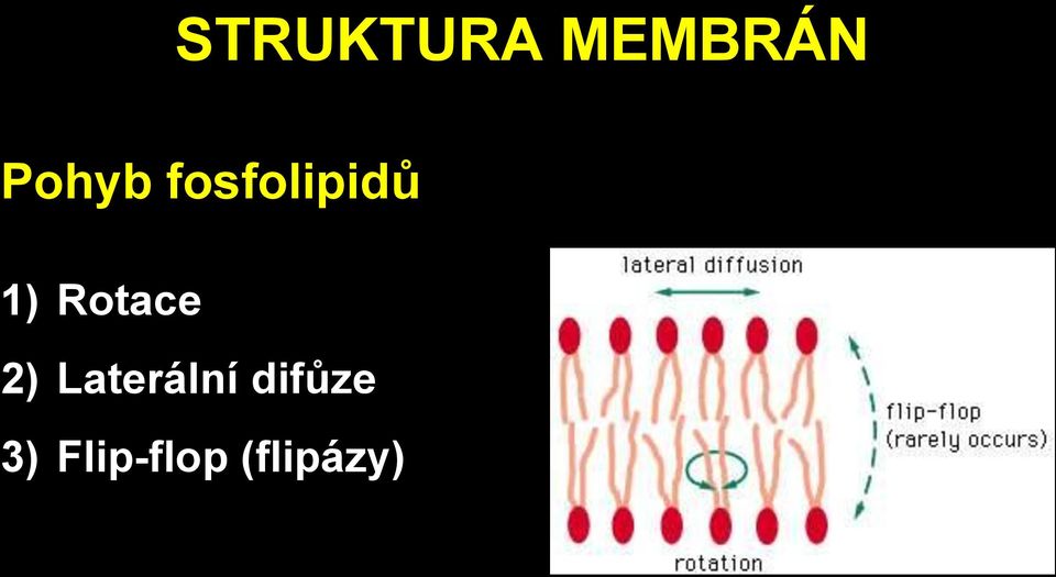 Rotace 2) Laterální