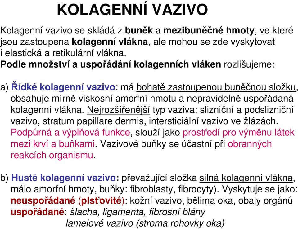 vlákna. Nejrozšířenější typ vaziva: slizniční a podslizniční vazivo, stratum papillare dermis, intersticiální vazivo ve žlázách.