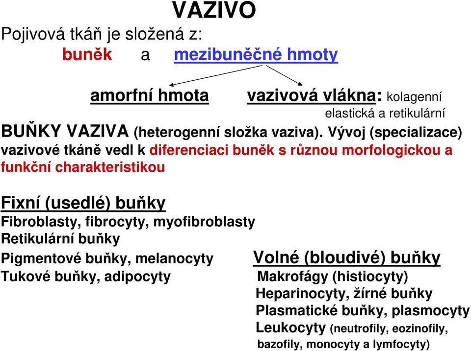 Vývoj (specializace) vazivové tkáně vedl k diferenciaci buněk s různou morfologickou a funkční charakteristikou Fixní (usedlé) buňky