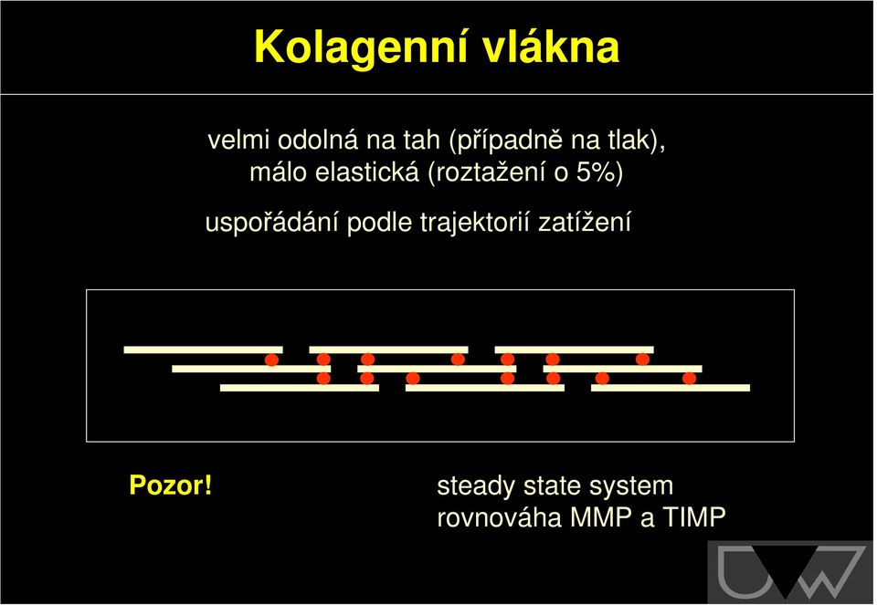 (roztažení o 5%) uspořádání podle