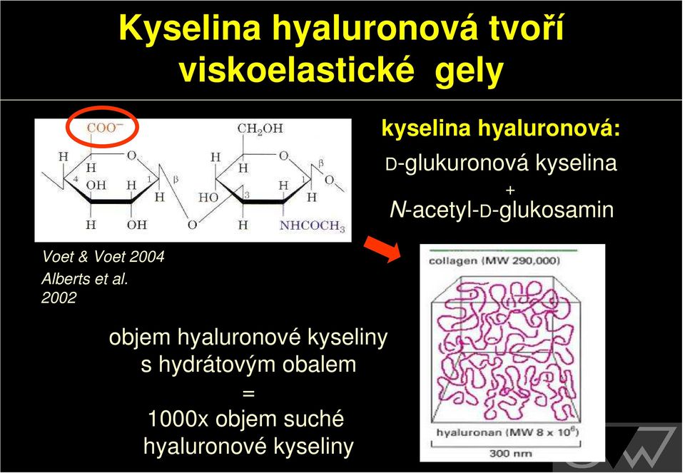 hyaluronové kyseliny s hydrátovým obalem = 1000x objem