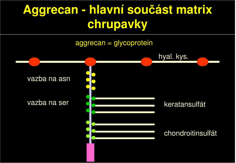 hyal. kys.