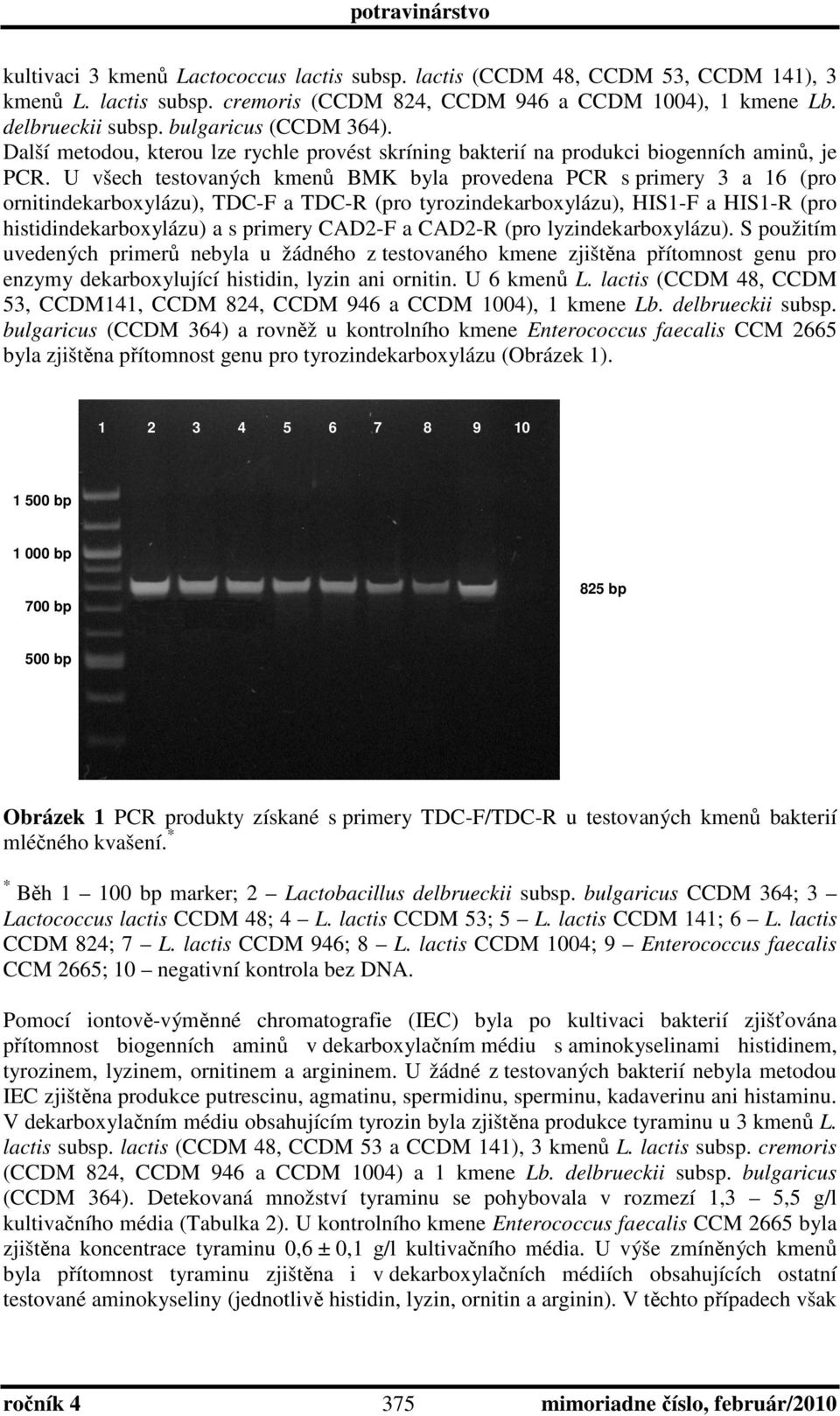 U všech testovaných kmenů BMK byla provedena PCR s primery 3 a 16 (pro ornitindekarboxylázu), TDC-F a TDC-R (pro tyrozindekarboxylázu), HIS1-F a HIS1-R (pro histidindekarboxylázu) a s primery CAD2-F