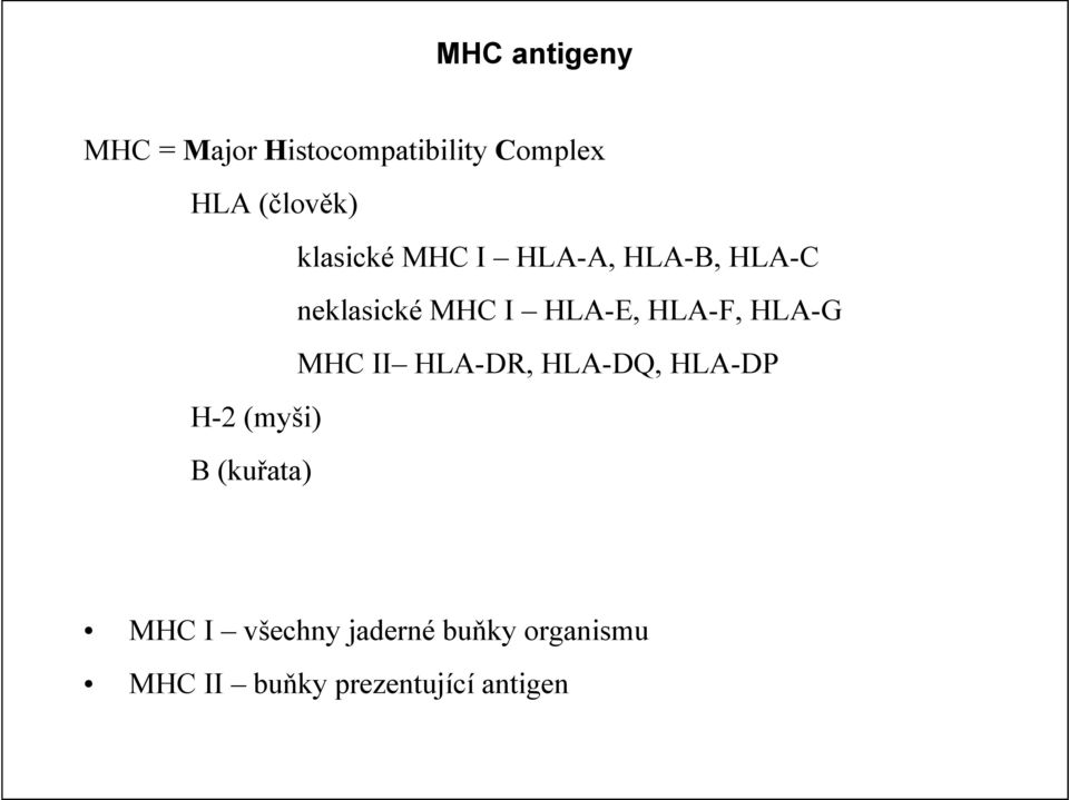 HLA-F, HLA-G MHC II HLA-DR, HLA-DQ, HLA-DP H-2 (myši) B (kuřata)