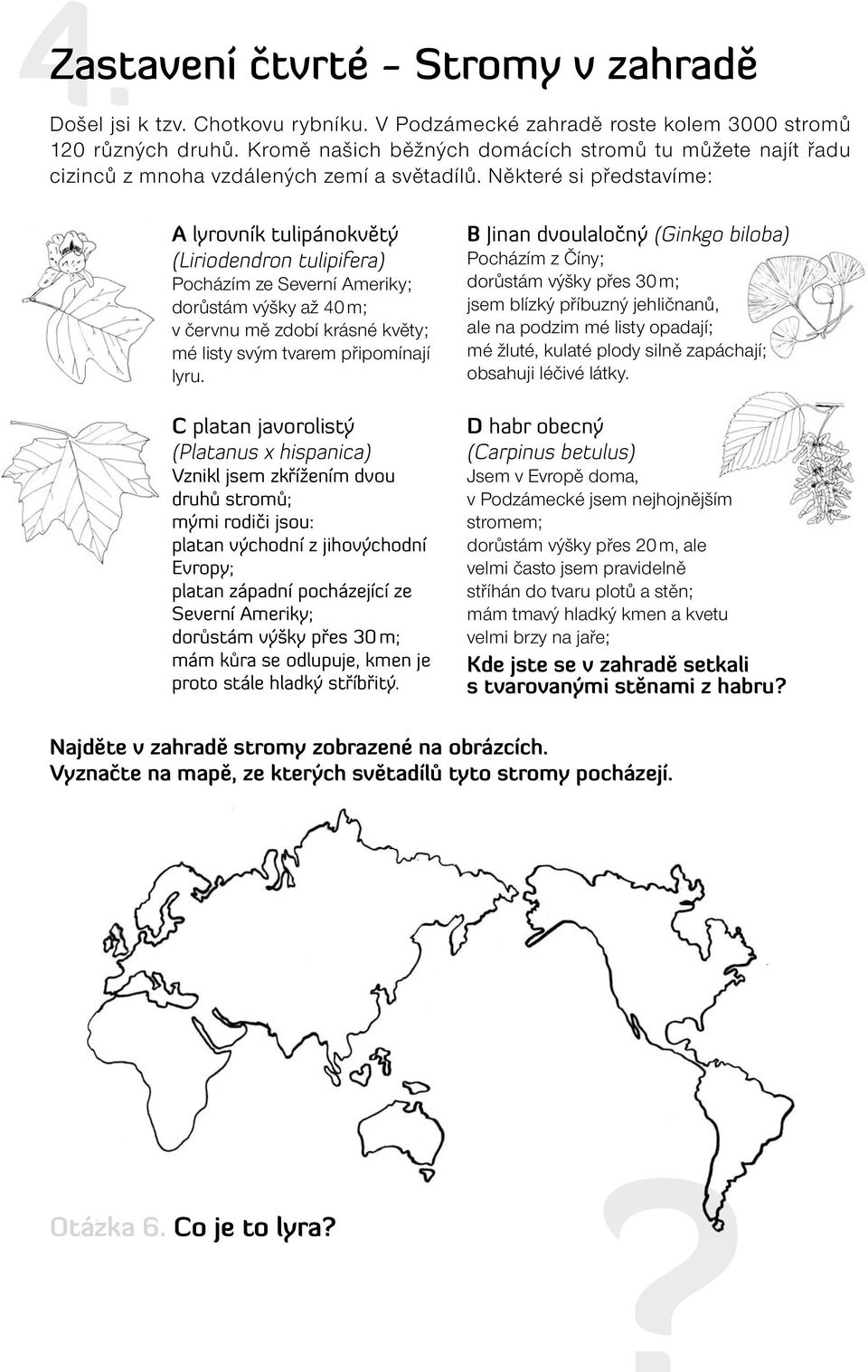 Některé si představíme: A lyrovník tulipánokvětý (Liriodendron tulipifera) Pocházím ze Severní Ameriky; dorůstám výšky až 40 m; v červnu mě zdobí krásné květy; mé listy svým tvarem připomínají lyru.
