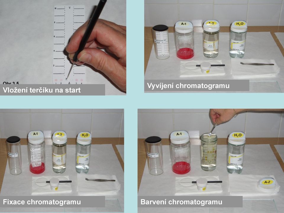 Vyvíjení chromatogramu 7 Fixace