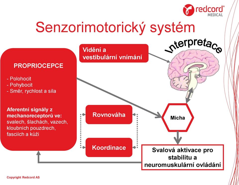 mechanoreceptorů ve: svalech, šlachách, vazech, kloubních pouzdrech,