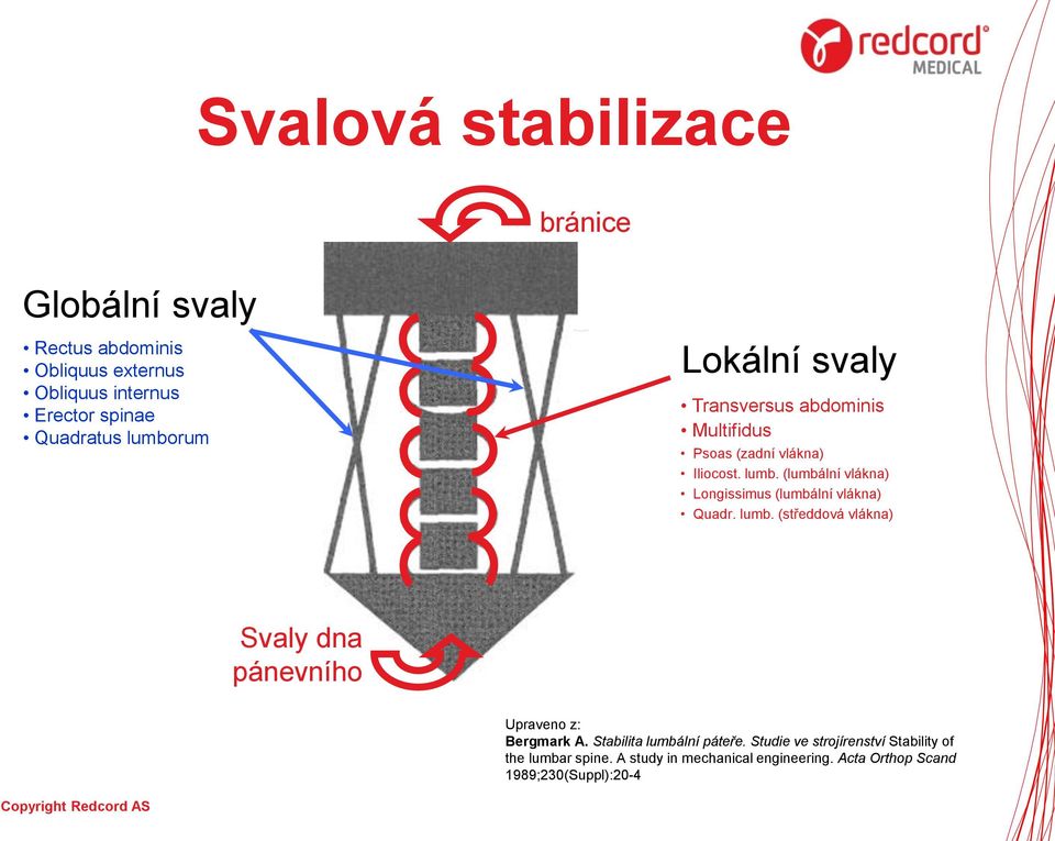 (lumbální vlákna) Longissimus (lumbální vlákna) Quadr. lumb. (středdová vlákna) Svaly dna pánevního Upraveno z: Bergmark A.
