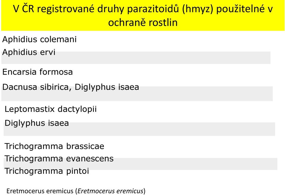 Diglyphus isaea Leptomastix dactylopii Diglyphus isaea Trichogramma