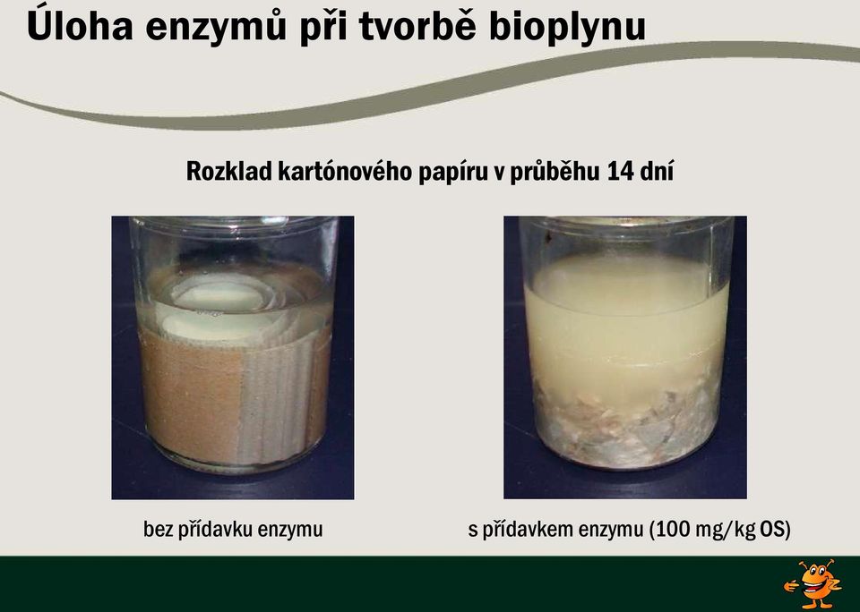 průběhu 14 dní bez přídavku