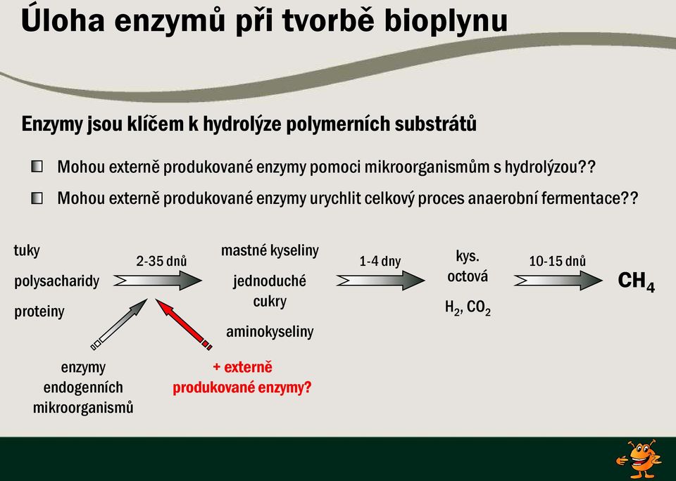 ? Mohou externě produkované enzymy urychlit celkový proces anaerobní fermentace?