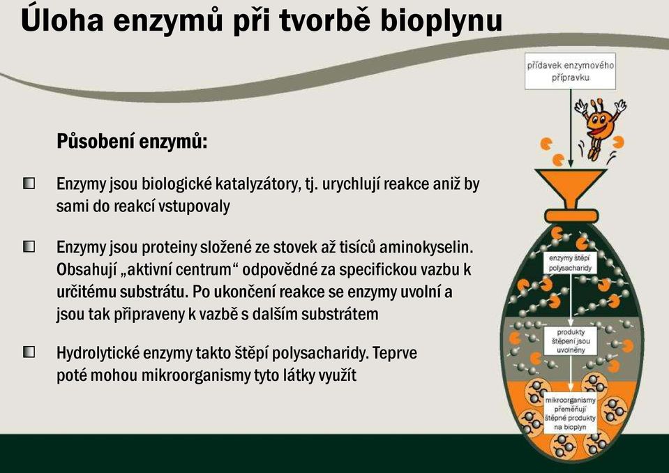 Obsahují aktivní centrum odpovědné za specifickou vazbu k určitému substrátu.