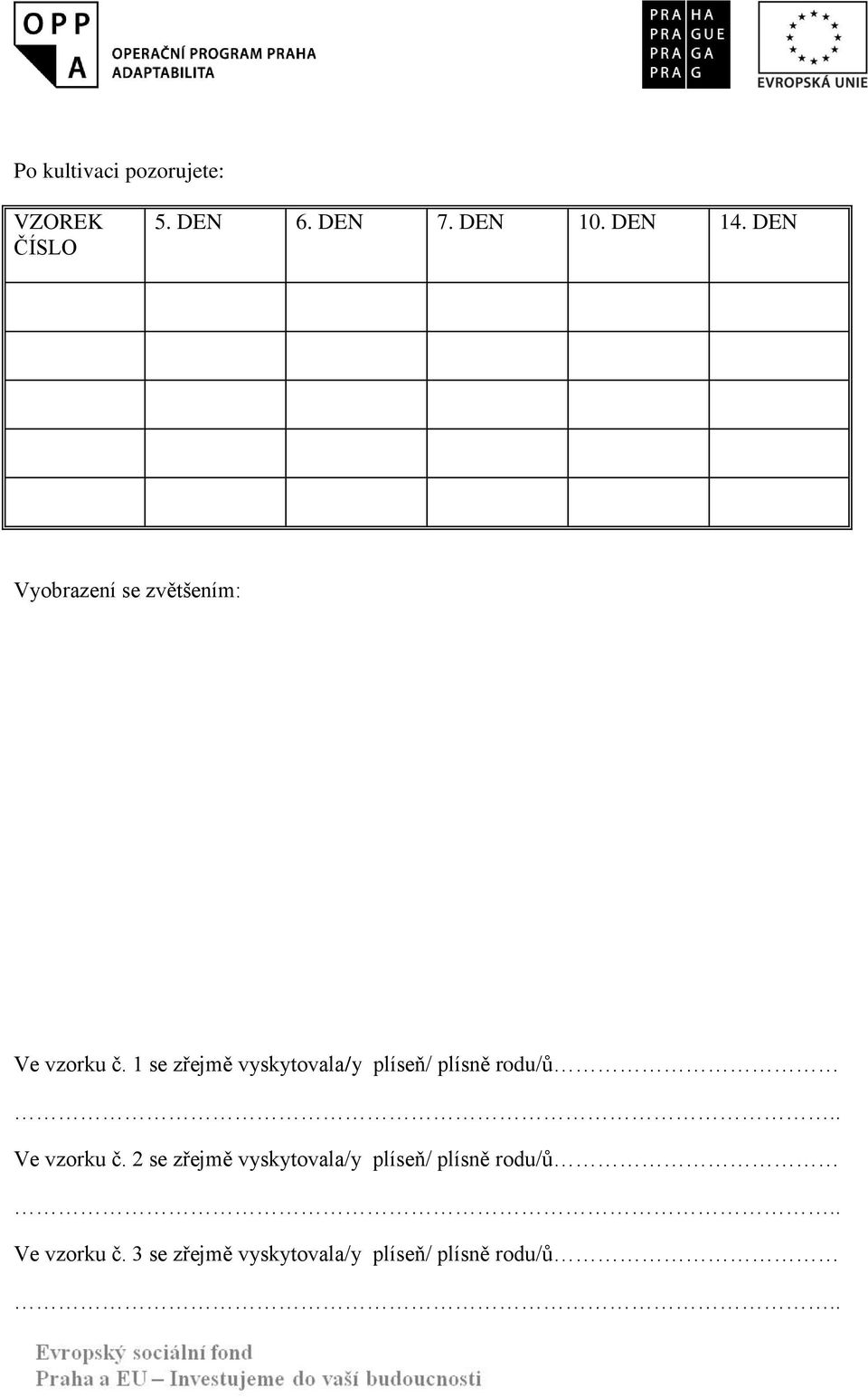 1 se zřejmě vyskytovala/y plíseň/ plísně rodu/ů Ve vzorku č.