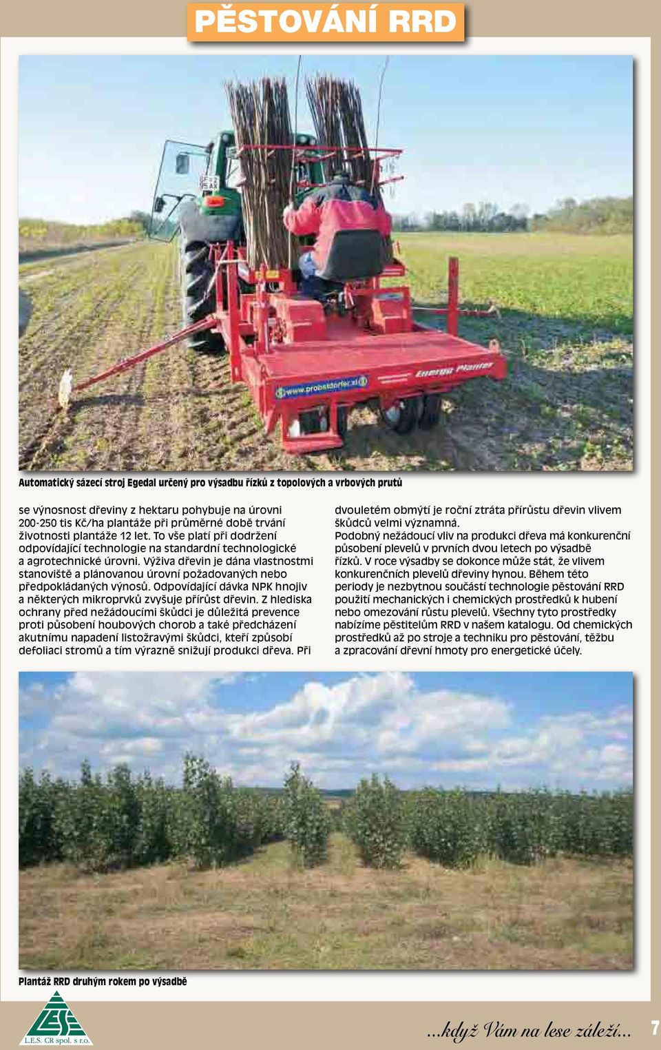 Výživa dřevin je dána vlastnostmi stanoviště a plánovanou úrovní požadovaných nebo předpokládaných výnosů. Odpovídající dávka NPK hnojiv a některých mikroprvků zvyšuje přírůst dřevin.