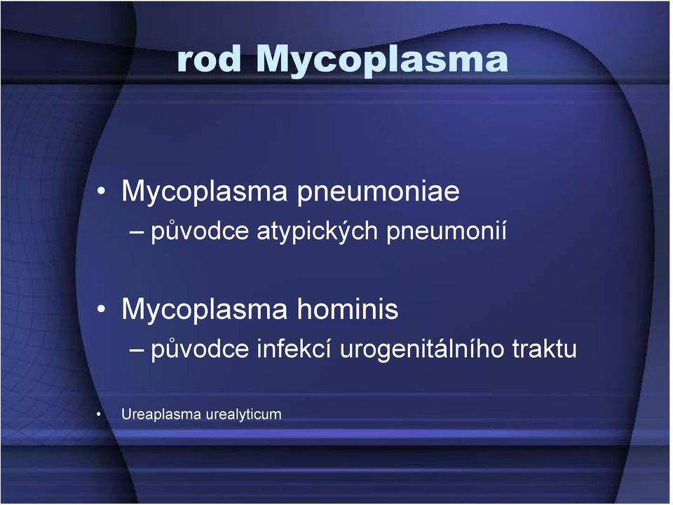 Mycoplasma hominis původce infekcí