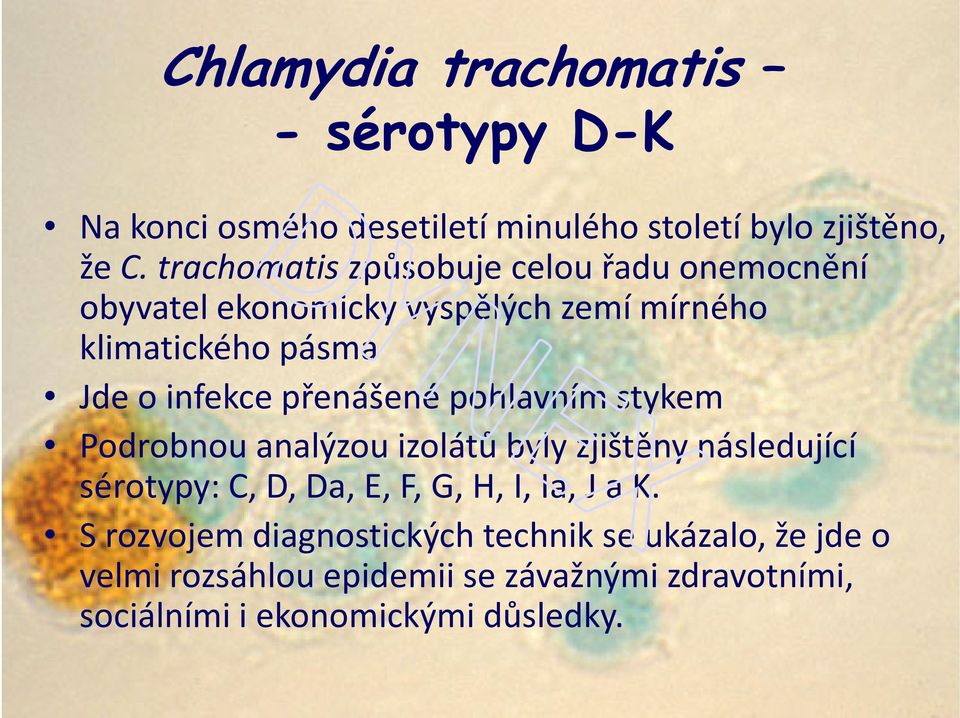 přenášené pohlavním stykem Podrobnou analýzou izolátů byly zjištěny následující sérotypy: C, D, Da, E, F, G, H, I, Ia, J