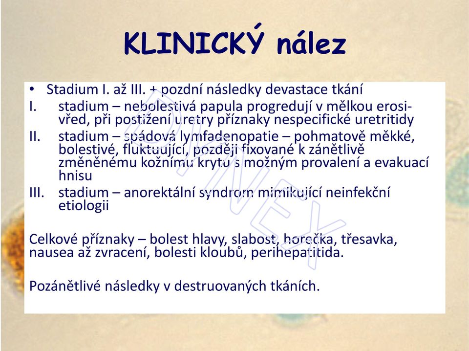 stadium spádová lymfadenopatie pohmatově měkké, bolestivé, fluktuující, později fixované k zánětlivě změněnému kožnímu krytu s možným