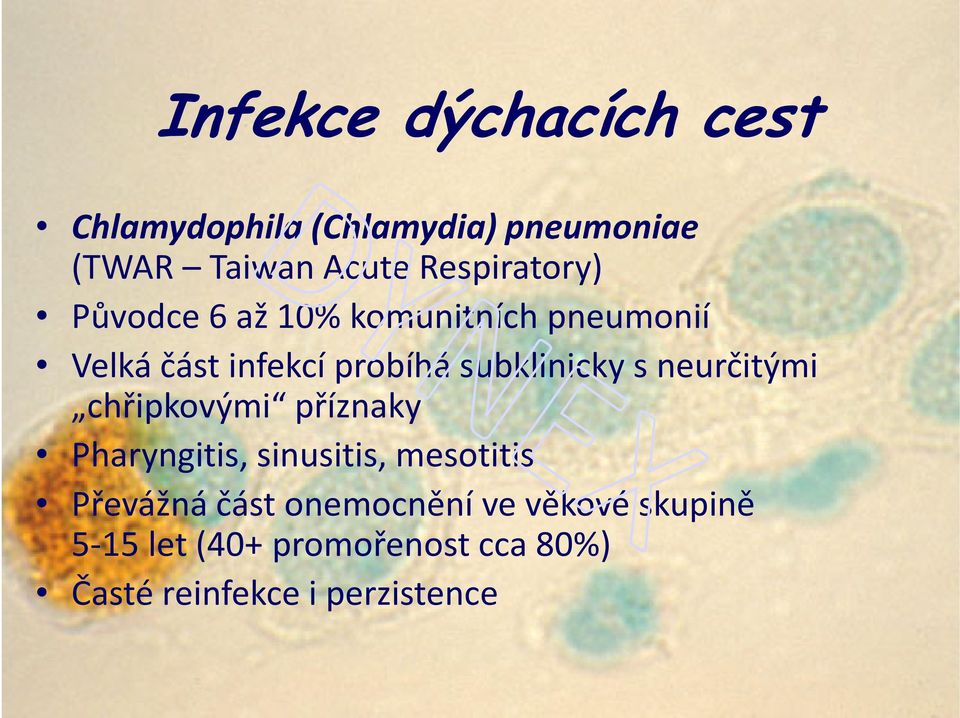 probíhá subklinickys neurčitými chřipkovými příznaky Pharyngitis, sinusitis, mesotitis