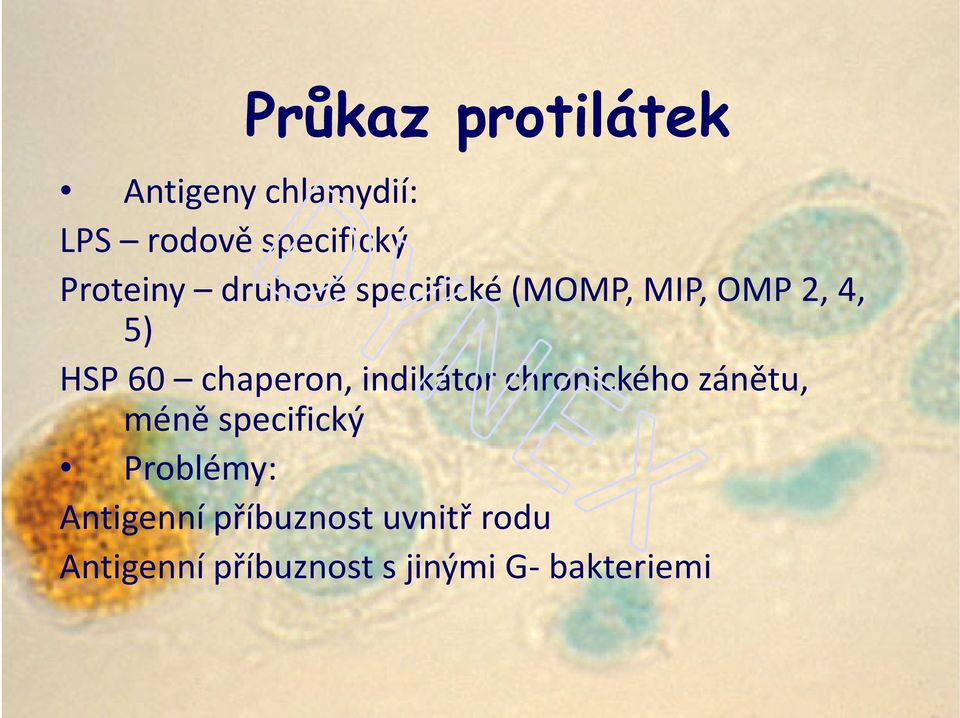 chaperon, indikátor chronického zánětu, méně specifický Problémy: