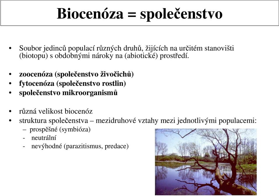 zoocenóza (společenstvo živočichů) fytocenóza (společenstvo rostlin) společenstvo mikroorganismů různá
