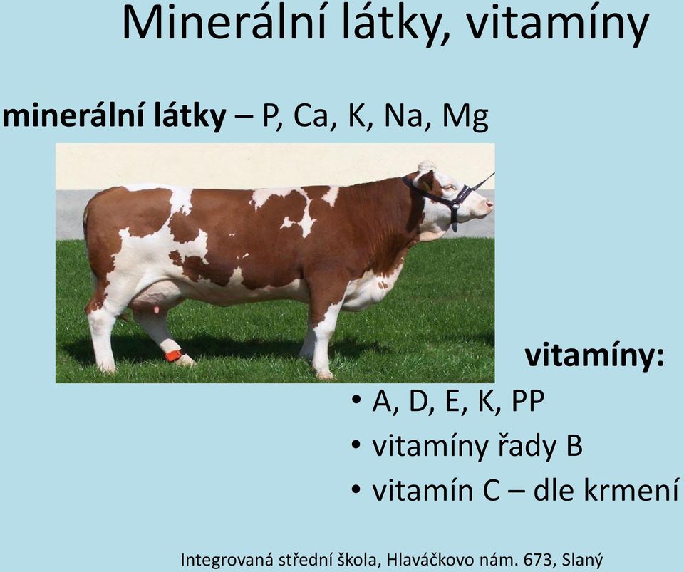 Mg vitamíny: A, D, E, K, PP