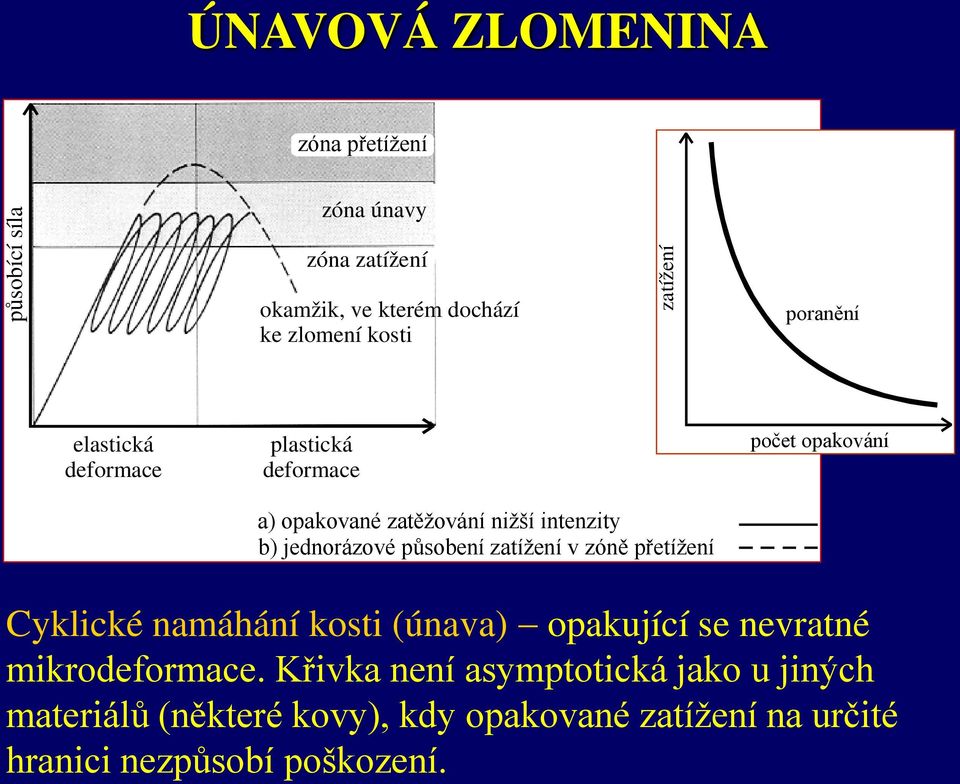 působení zatížení v zóně přetížení počet opakování Cyklické namáhání kosti (únava) opakující se nevratné