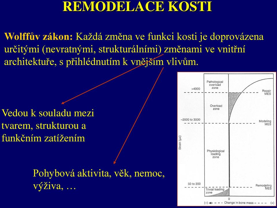 architektuře, s přihlédnutím k vnějším vlivům.