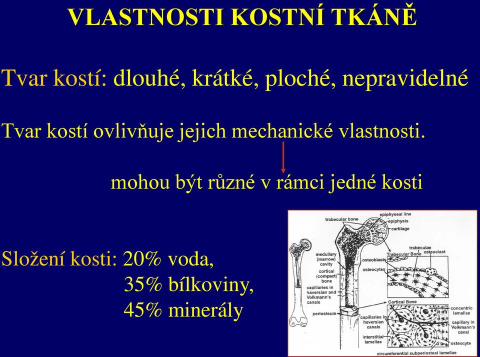 mechanické vlastnosti.