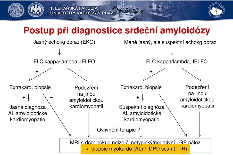 biopsie Podezření + _ na jinou na jinou + _ amyloidotickou amyloidotickou Jasná diagnóza AL amyloidotické kardiomyopatie