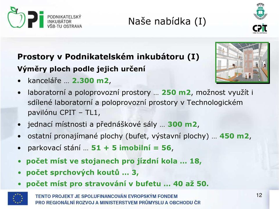 Technologickém pavilónu CPIT TL1, jednací místnosti a přednáškové sály 300 m2, ostatní pronajímané plochy (bufet, výstavní