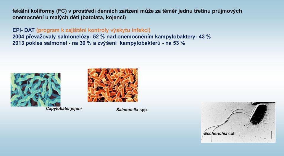 infekcí) 2004 převažovaly salmonelózy- 52 % nad onemocněním kampylobaktery- 43 % 2013 pokles