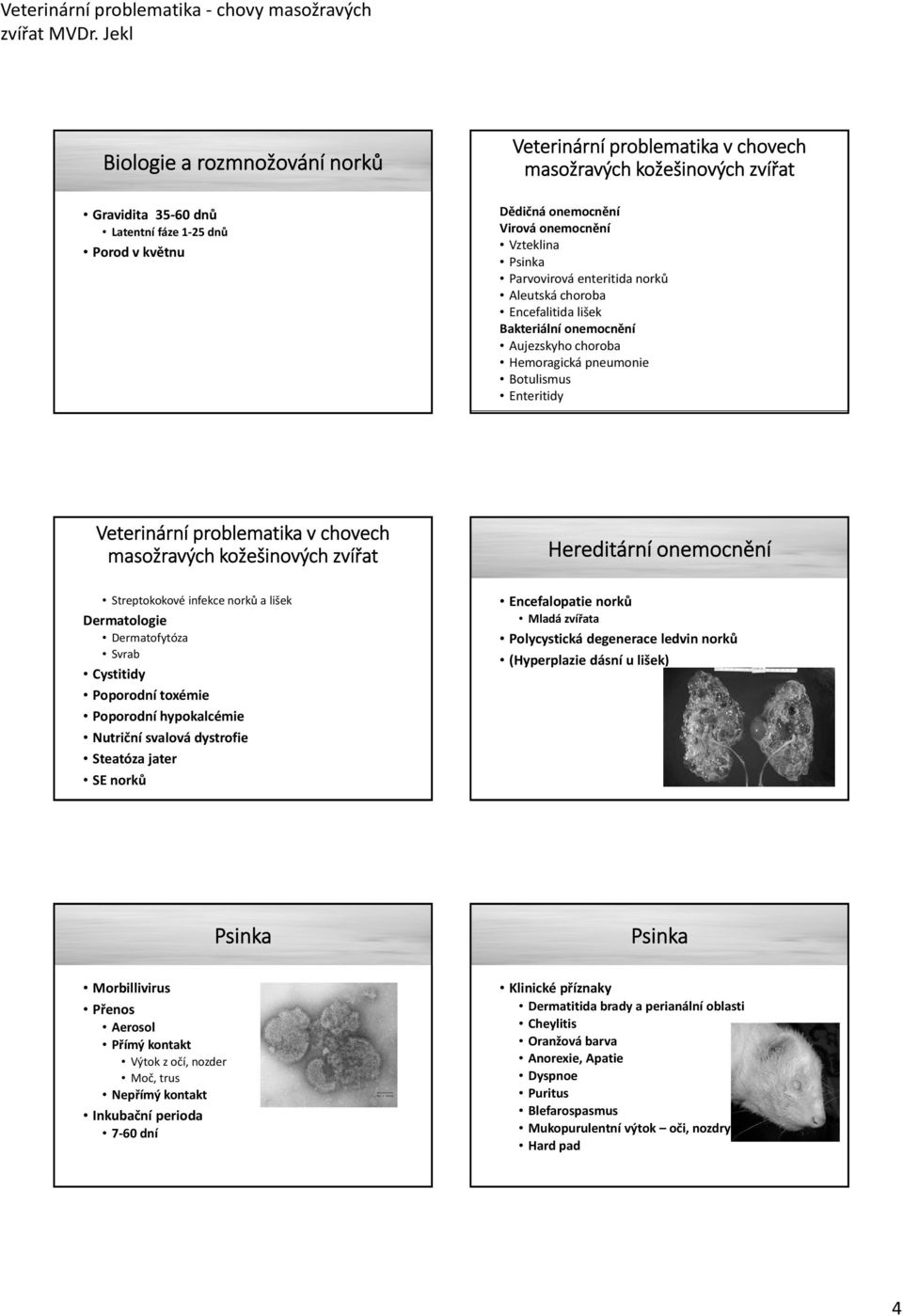 masožravých kožešinových zvířat Streptokokové infekce norků a lišek Dermatologie Dermatofytóza Svrab Cystitidy Poporodní toxémie Poporodní hypokalcémie Nutriční svalová dystrofie Steatóza jater SE