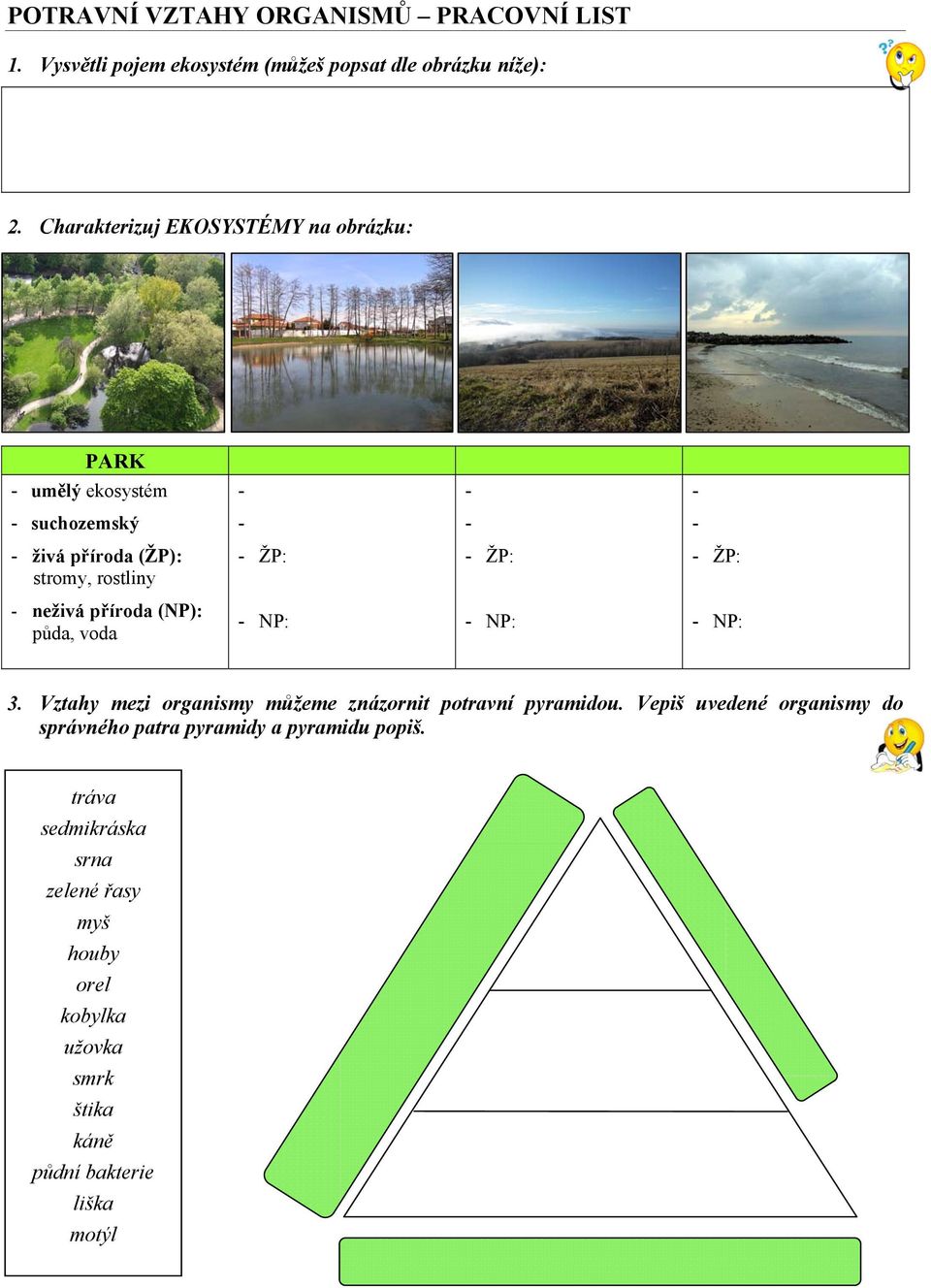 příroda (NP): půda, voda NP: NP: NP: 3. Vztahy mezi organismy můžeme znázornit potravní pyramidou.