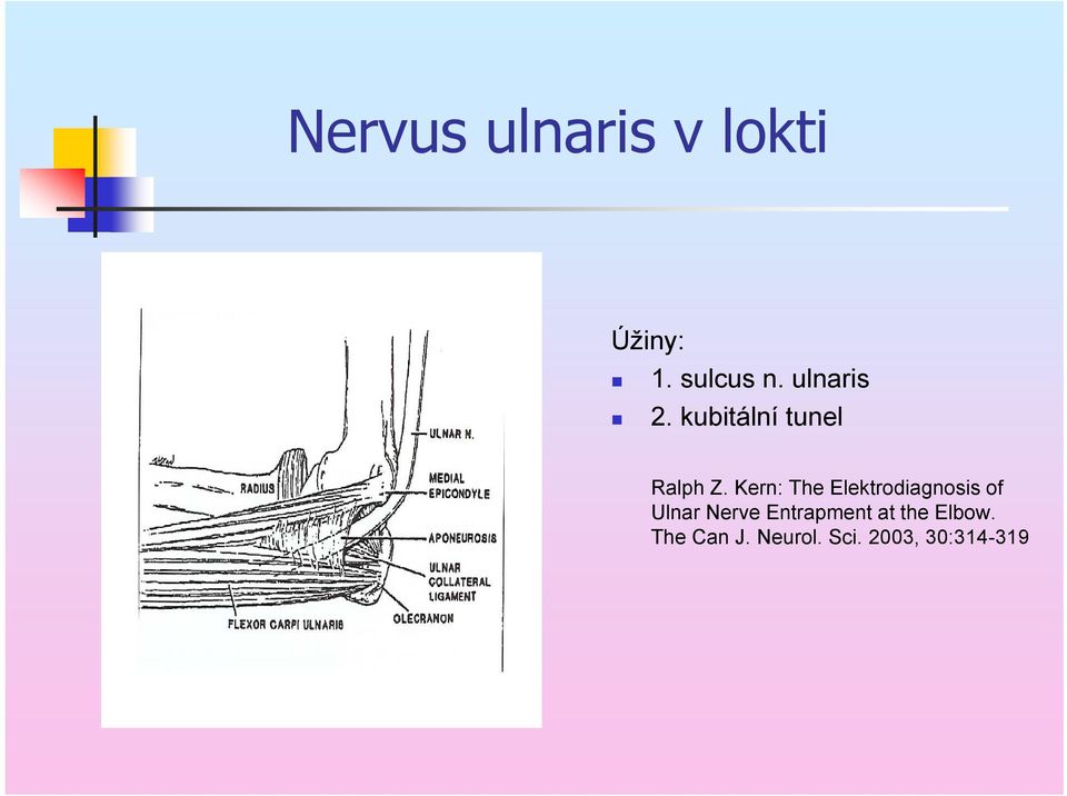 Kern: The Elektrodiagnosis of Ulnar Nerve