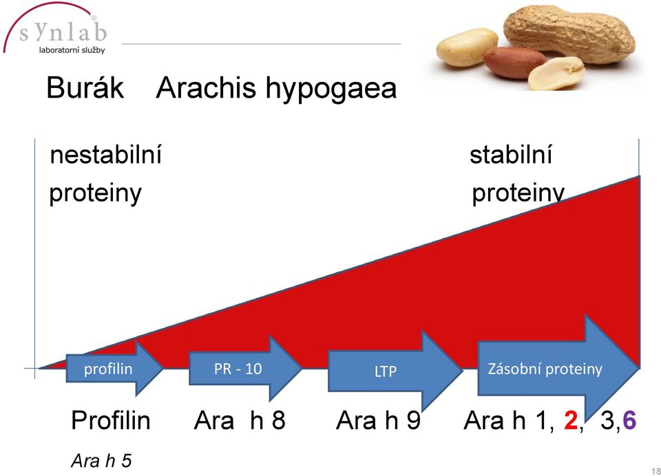 PR - 10 LTP Zásobní proteiny Profilin