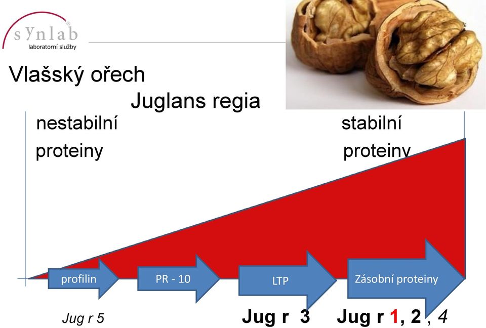 proteiny profilin PR - 10 LTP