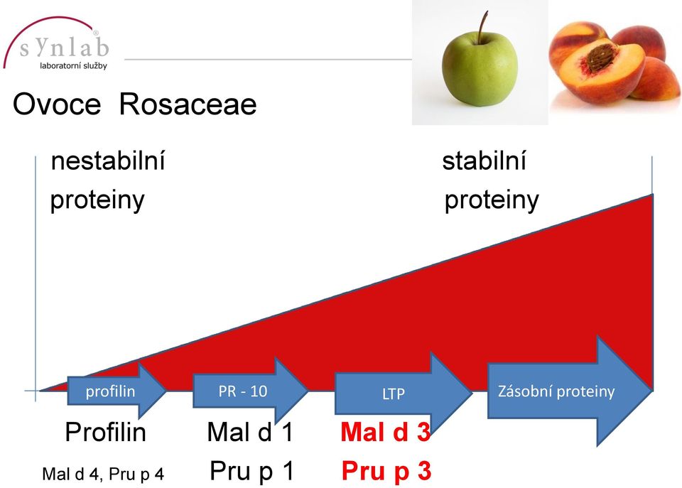 LTP Zásobní proteiny Profilin Mal d