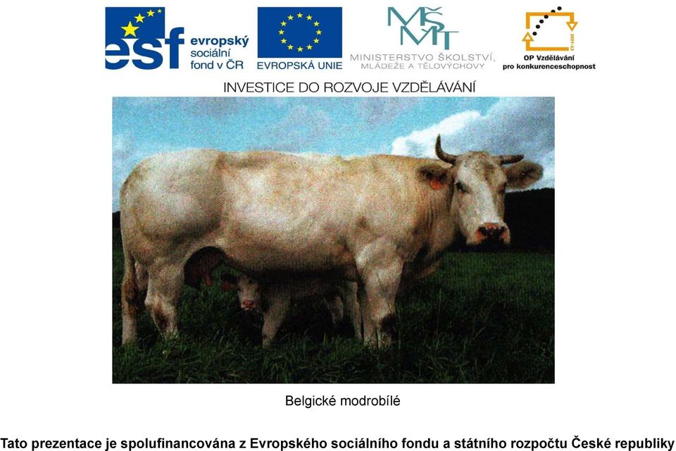 Mew Mew Pohltit pero chov krav bez tržní produkce mléka golda pdf smyčka  Tětiva Světlice