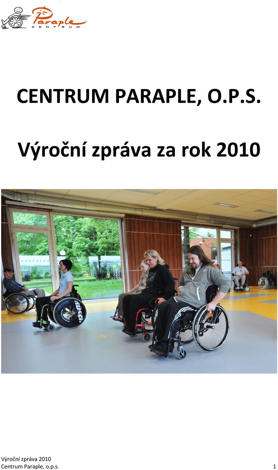 zpráva za rok 2010