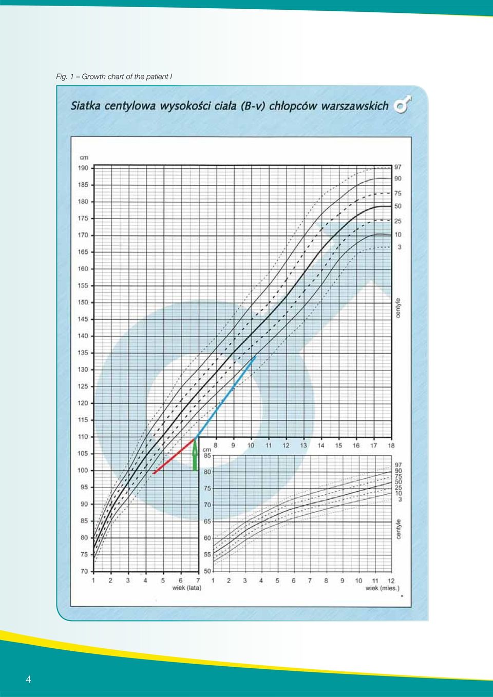 chart of