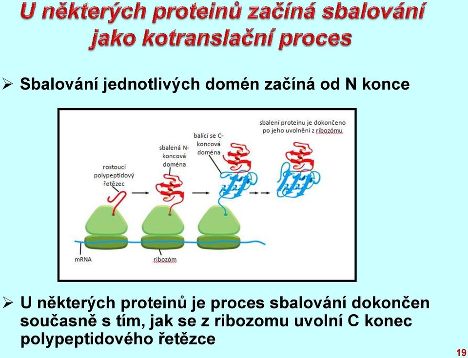 sbalování dokončen současně s tím, jak se