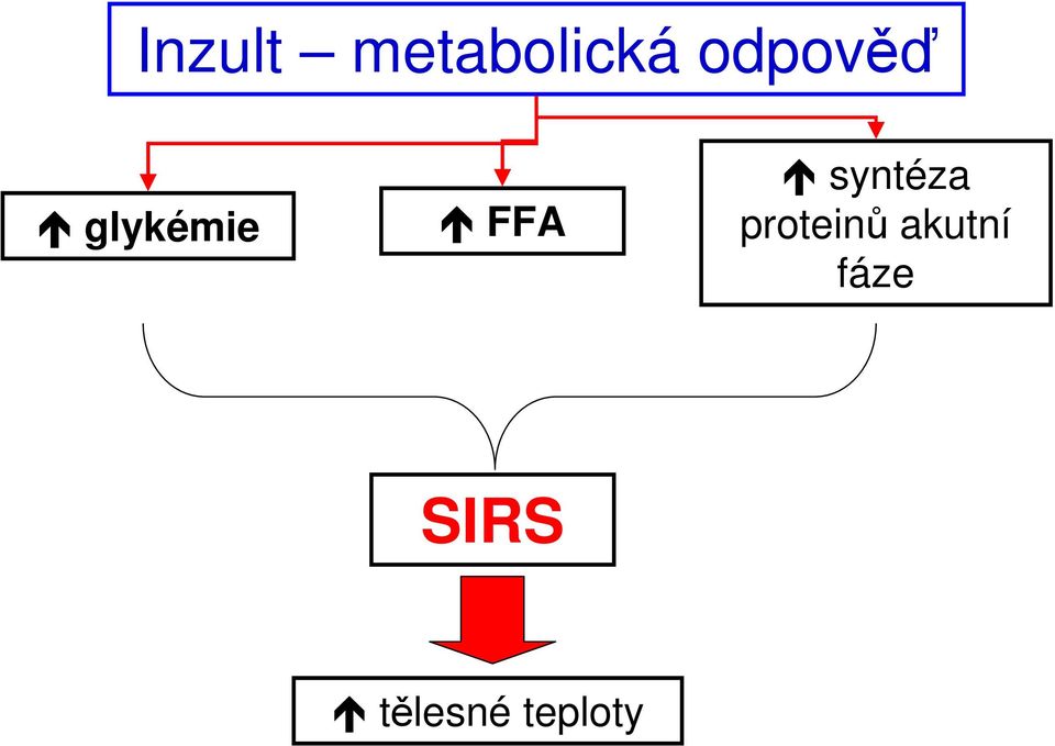 syntéza proteinů