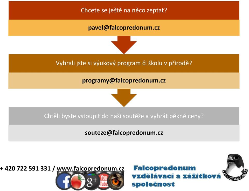 programy@falcopredonum.